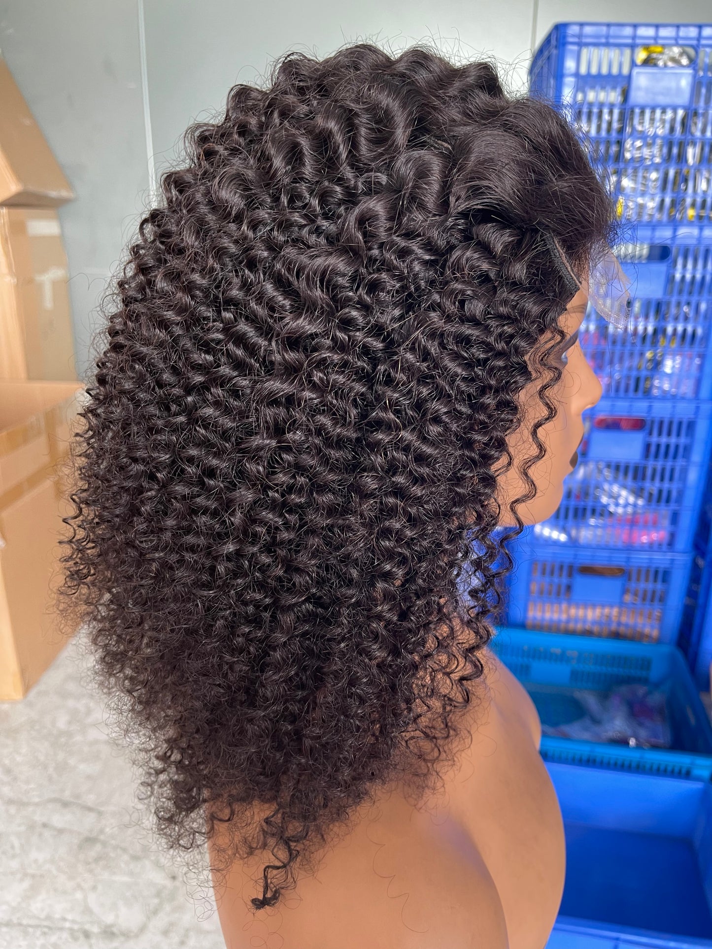 5x5 Lace Closure Wig Kinky Curly 100% Brazilian Virgin Hair